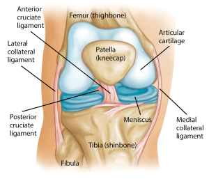 Why Does My Knee Hurt? Common Conditions Explained