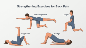 The Role of Exercise in Preventing Chronic Back Pain The Role of Exercise in Preventing Chronic Back Pain