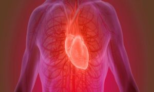 Poor Circulation 101: What It Is and How It Impacts Your Health