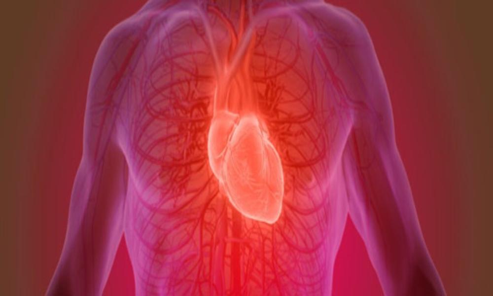 Understanding Poor Blood Circulation: Causes, Symptoms, and Risks